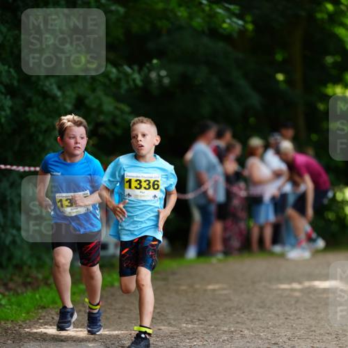 21.06.2026 - 29. Vierlanden-Triathlon LAZAROV Photography http://msf.ph/oto/9875713 21.06.2026 15:15:13 Laufen 1, 13, 2026, 2, 2026, 1336 meine-sportfotos.de