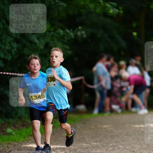 21.06.2026 - 29. Vierlanden-Triathlon LAZAROV Photography http://msf.ph/oto/9875714 21.06.2026 15:15:13 Laufen 1345, 2, 336 meine-sportfotos.de