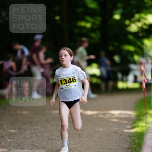 21.06.2026 - 29. Vierlanden-Triathlon LAZAROV Photography http://msf.ph/oto/9875949 21.06.2026 15:17:08 Laufen 111, 2026, 1346 meine-sportfotos.de