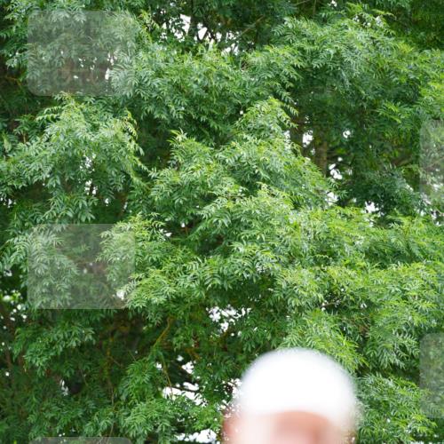 21.06.2026 - 29. Vierlanden-Triathlon LAZAROV Photography http://msf.ph/oto/9879558 21.06.2026 12:12:21 Laufen  meine-sportfotos.de