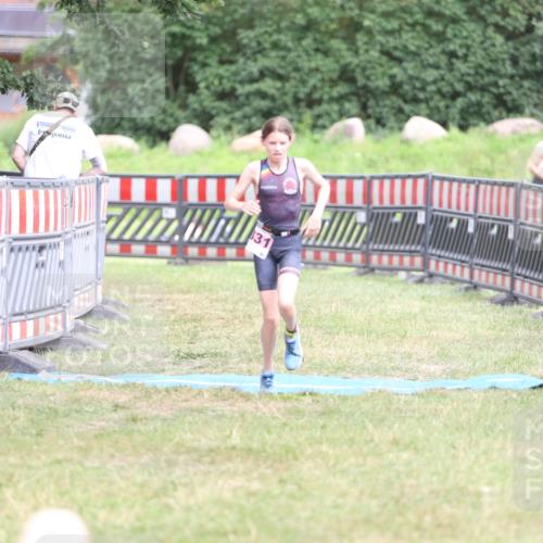 21.06.2026 - 29. Vierlanden-Triathlon Andreas Tolksdorf http://msf.ph/oto/9894625 21.06.2026 15:06:45 Ziel 1331, 1331 meine-sportfotos.de