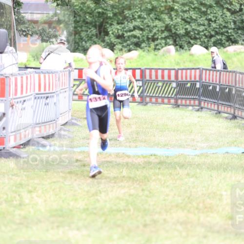 21.06.2026 - 29. Vierlanden-Triathlon Andreas Tolksdorf http://msf.ph/oto/9894659 21.06.2026 15:07:18 Ziel 1296, 1312, 1328, 1296, 1312, 1328 meine-sportfotos.de