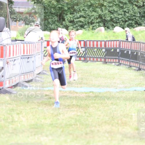 21.06.2026 - 29. Vierlanden-Triathlon Andreas Tolksdorf http://msf.ph/oto/9894661 21.06.2026 15:07:19 Ziel 1296, 1312, 1328, 1296, 1312, 1328 meine-sportfotos.de