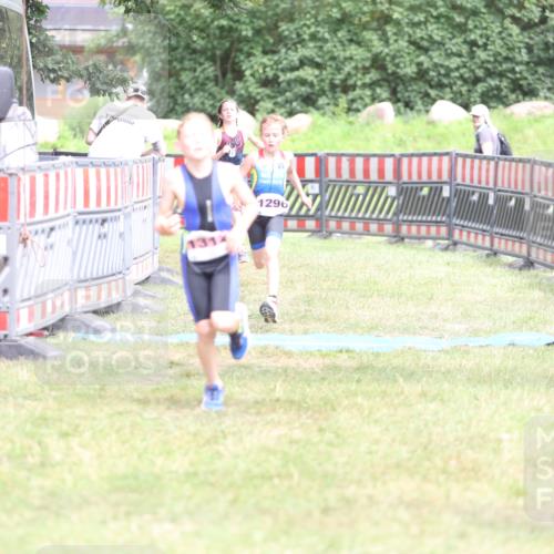 21.06.2026 - 29. Vierlanden-Triathlon Andreas Tolksdorf http://msf.ph/oto/9894663 21.06.2026 15:07:19 Ziel 1296, 1312, 1328, 1296, 1312, 1328 meine-sportfotos.de