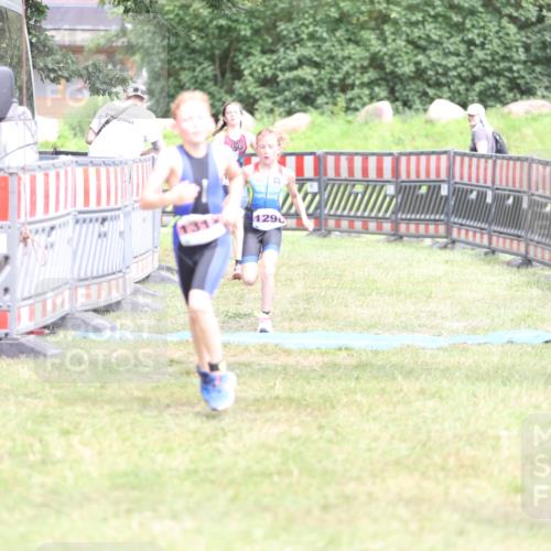 21.06.2026 - 29. Vierlanden-Triathlon Andreas Tolksdorf http://msf.ph/oto/9894665 21.06.2026 15:07:19 Ziel 1296, 1312, 1328, 1296, 1312, 1328 meine-sportfotos.de