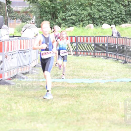 21.06.2026 - 29. Vierlanden-Triathlon Andreas Tolksdorf http://msf.ph/oto/9894666 21.06.2026 15:07:19 Ziel 1296, 1312, 1328, 1296, 1312, 1328 meine-sportfotos.de