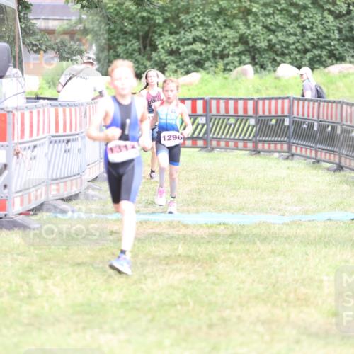 21.06.2026 - 29. Vierlanden-Triathlon Andreas Tolksdorf http://msf.ph/oto/9894667 21.06.2026 15:07:19 Ziel 1296, 1312, 1328, 1296, 1312, 1328 meine-sportfotos.de