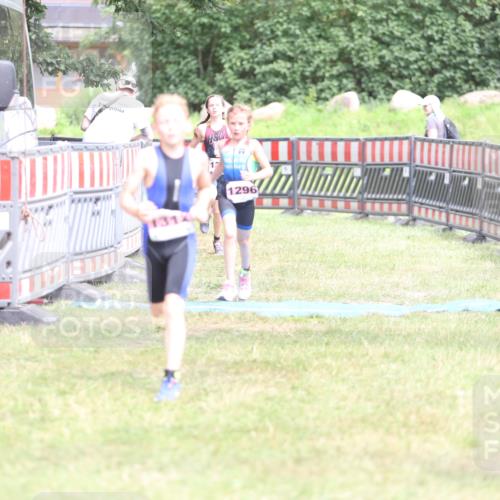 21.06.2026 - 29. Vierlanden-Triathlon Andreas Tolksdorf http://msf.ph/oto/9894668 21.06.2026 15:07:19 Ziel 1296, 1312, 1328, 1296, 1312, 1328 meine-sportfotos.de