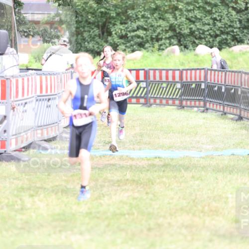 21.06.2026 - 29. Vierlanden-Triathlon Andreas Tolksdorf http://msf.ph/oto/9894669 21.06.2026 15:07:19 Ziel 1296, 1312, 1328, 1296, 1312, 1328 meine-sportfotos.de
