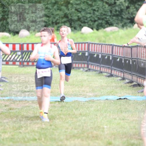 21.06.2026 - 29. Vierlanden-Triathlon Andreas Tolksdorf http://msf.ph/oto/9894906 21.06.2026 15:10:25 Ziel 1287, 1334, 1287, 1334 meine-sportfotos.de
