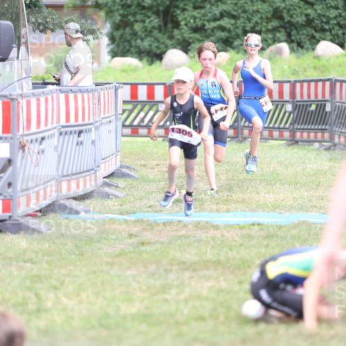 21.06.2026 - 29. Vierlanden-Triathlon Andreas Tolksdorf http://msf.ph/oto/9894937 21.06.2026 15:10:50 Ziel 1233, 1273, 1305, 1311, 1321, 1233, 1273, 1305, 1311, 1321 meine-sportfotos.de