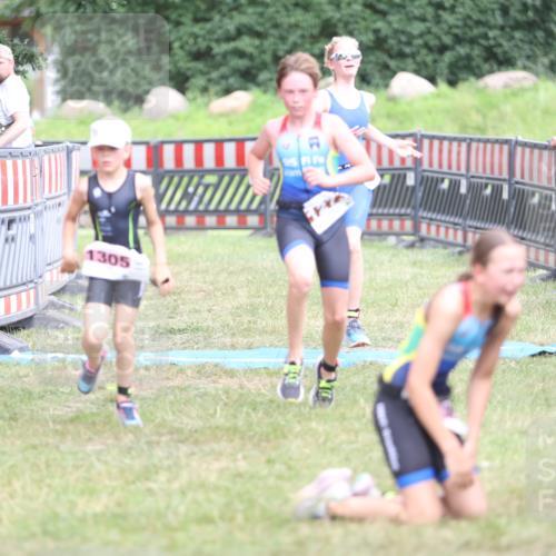 21.06.2026 - 29. Vierlanden-Triathlon Andreas Tolksdorf http://msf.ph/oto/9894947 21.06.2026 15:10:51 Ziel 1233, 1273, 1305, 1311, 1321, 1233, 1273, 1305, 1311, 1321 meine-sportfotos.de