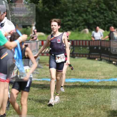 21.06.2026 - 29. Vierlanden-Triathlon Andreas Tolksdorf http://msf.ph/oto/9895292 21.06.2026 15:15:23 Ziel 1236, 1269, 1294, 1309, 1236, 1269, 1294, 1309 meine-sportfotos.de