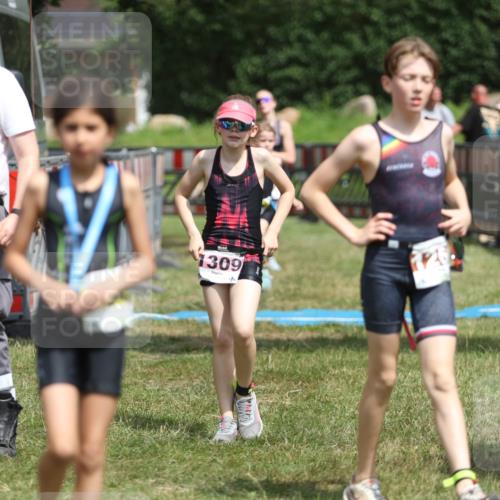 21.06.2026 - 29. Vierlanden-Triathlon Andreas Tolksdorf http://msf.ph/oto/9895300 21.06.2026 15:15:26 Ziel 1236, 1269, 1294, 1309, 1236, 1269, 1294, 1309 meine-sportfotos.de