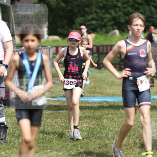 21.06.2026 - 29. Vierlanden-Triathlon Andreas Tolksdorf http://msf.ph/oto/9895302 21.06.2026 15:15:26 Ziel 1236, 1269, 1294, 1309, 1236, 1269, 1294, 1309 meine-sportfotos.de