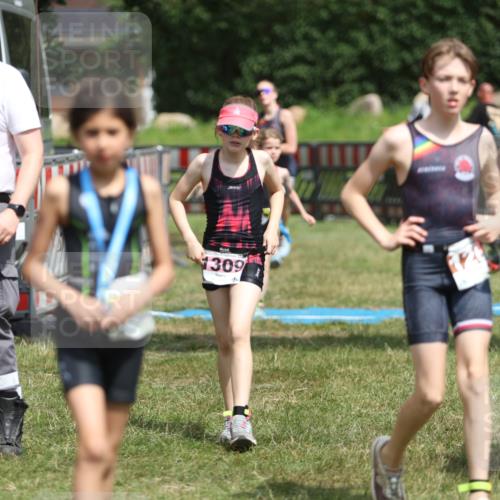 21.06.2026 - 29. Vierlanden-Triathlon Andreas Tolksdorf http://msf.ph/oto/9895303 21.06.2026 15:15:26 Ziel 1236, 1269, 1294, 1309, 1236, 1269, 1294, 1309 meine-sportfotos.de