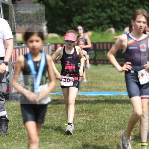 21.06.2026 - 29. Vierlanden-Triathlon Andreas Tolksdorf http://msf.ph/oto/9895305 21.06.2026 15:15:26 Ziel 1236, 1269, 1294, 1309, 1236, 1269, 1294, 1309 meine-sportfotos.de