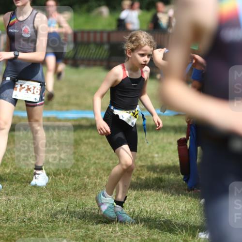 21.06.2026 - 29. Vierlanden-Triathlon Andreas Tolksdorf http://msf.ph/oto/9895315 21.06.2026 15:15:31 Ziel 1236, 1294, 1336, 1236, 1294, 1336 meine-sportfotos.de