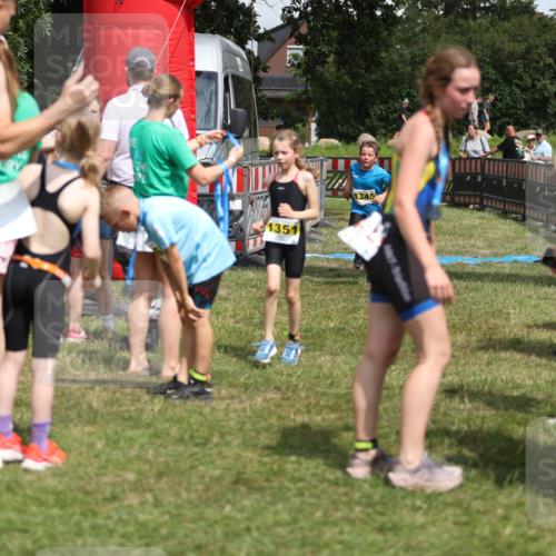 21.06.2026 - 29. Vierlanden-Triathlon Andreas Tolksdorf http://msf.ph/oto/9895334 21.06.2026 15:15:45 Ziel 1274, 1351, 1274, 1351 meine-sportfotos.de