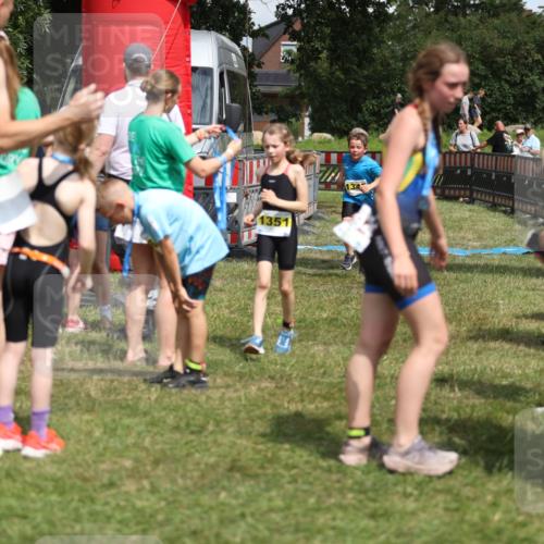 21.06.2026 - 29. Vierlanden-Triathlon Andreas Tolksdorf http://msf.ph/oto/9895335 21.06.2026 15:15:45 Ziel 1274, 1351, 1274, 1351 meine-sportfotos.de