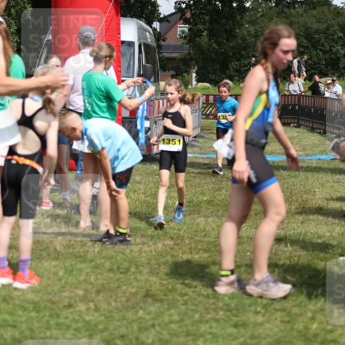 21.06.2026 - 29. Vierlanden-Triathlon Andreas Tolksdorf http://msf.ph/oto/9895336 21.06.2026 15:15:45 Ziel 1274, 1351, 1274, 1351 meine-sportfotos.de