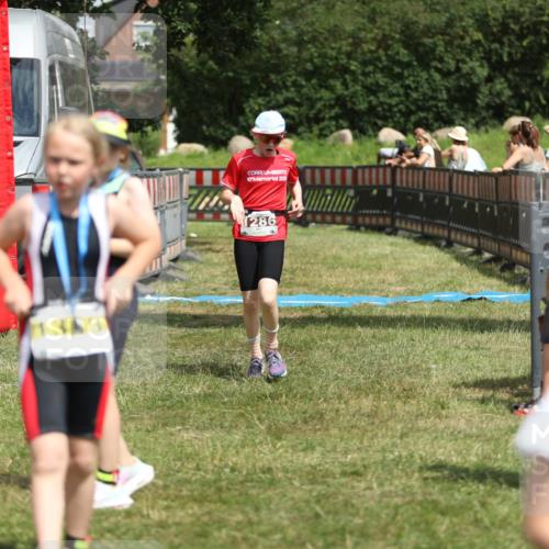 21.06.2026 - 29. Vierlanden-Triathlon Andreas Tolksdorf http://msf.ph/oto/9895392 21.06.2026 15:16:49 Ziel 1286, 1286 meine-sportfotos.de