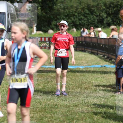 21.06.2026 - 29. Vierlanden-Triathlon Andreas Tolksdorf http://msf.ph/oto/9895399 21.06.2026 15:16:50 Ziel 1286, 1286 meine-sportfotos.de