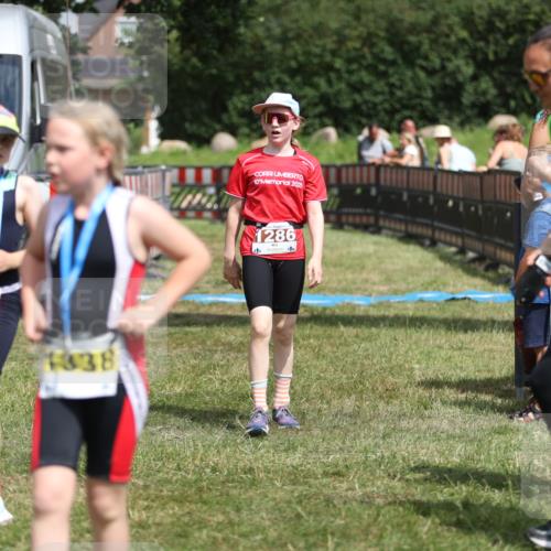 21.06.2026 - 29. Vierlanden-Triathlon Andreas Tolksdorf http://msf.ph/oto/9895400 21.06.2026 15:16:50 Ziel 1286, 1286 meine-sportfotos.de