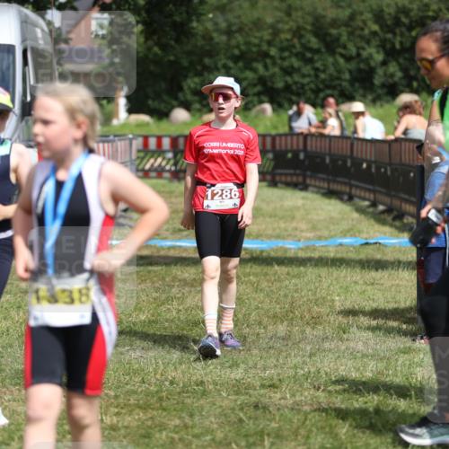 21.06.2026 - 29. Vierlanden-Triathlon Andreas Tolksdorf http://msf.ph/oto/9895401 21.06.2026 15:16:50 Ziel 1286, 1286 meine-sportfotos.de