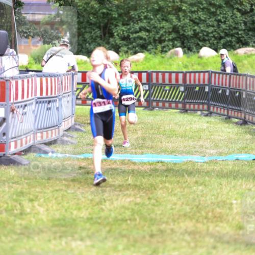 21.06.2026 - 29. Vierlanden-Triathlon Andreas Tolksdorf http://msf.ph/oto/9917128 21.06.2026 15:07:18 Ziel 1296, 1312, 1328 meine-sportfotos.de