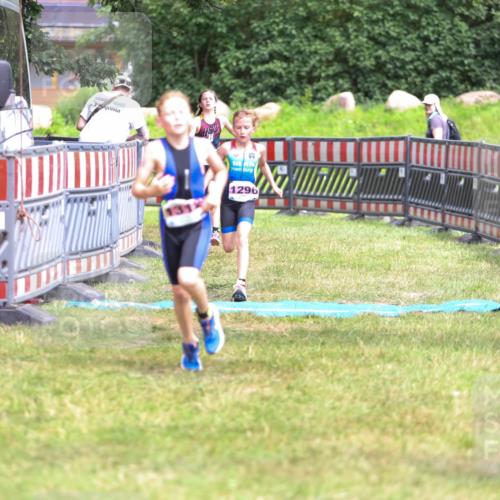 21.06.2026 - 29. Vierlanden-Triathlon Andreas Tolksdorf http://msf.ph/oto/9917133 21.06.2026 15:07:19 Ziel 1296, 1312, 1328 meine-sportfotos.de