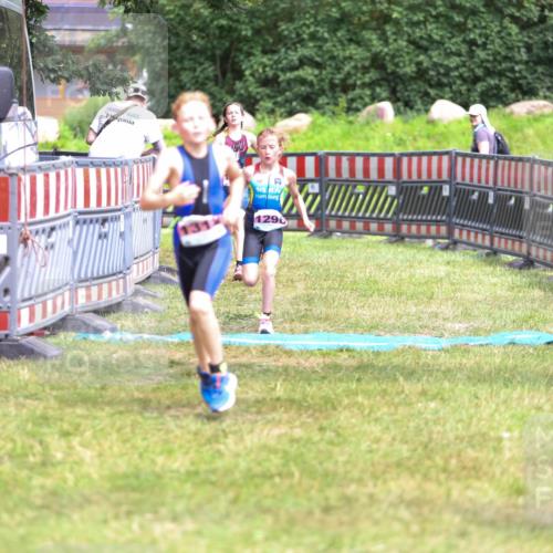 21.06.2026 - 29. Vierlanden-Triathlon Andreas Tolksdorf http://msf.ph/oto/9917134 21.06.2026 15:07:19 Ziel 1296, 1312, 1328 meine-sportfotos.de