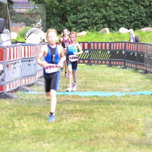 21.06.2026 - 29. Vierlanden-Triathlon Andreas Tolksdorf http://msf.ph/oto/9917137 21.06.2026 15:07:19 Ziel 1296, 1312, 1328 meine-sportfotos.de