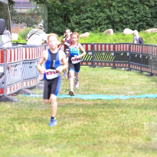 21.06.2026 - 29. Vierlanden-Triathlon Andreas Tolksdorf http://msf.ph/oto/9917138 21.06.2026 15:07:19 Ziel 1296, 1312, 1328 meine-sportfotos.de