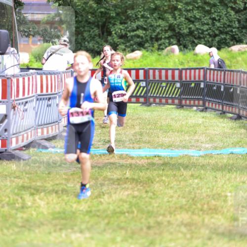 21.06.2026 - 29. Vierlanden-Triathlon Andreas Tolksdorf http://msf.ph/oto/9917139 21.06.2026 15:07:19 Ziel 1296, 1312, 1328 meine-sportfotos.de