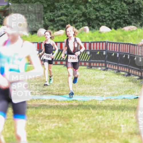 21.06.2026 - 29. Vierlanden-Triathlon Andreas Tolksdorf http://msf.ph/oto/9917189 21.06.2026 15:07:40 Ziel 1272, 1276, 1313, 1330, 1333 meine-sportfotos.de