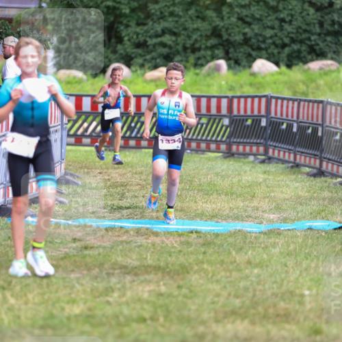 21.06.2026 - 29. Vierlanden-Triathlon Andreas Tolksdorf http://msf.ph/oto/9917370 21.06.2026 15:10:22 Ziel 1287, 1334 meine-sportfotos.de