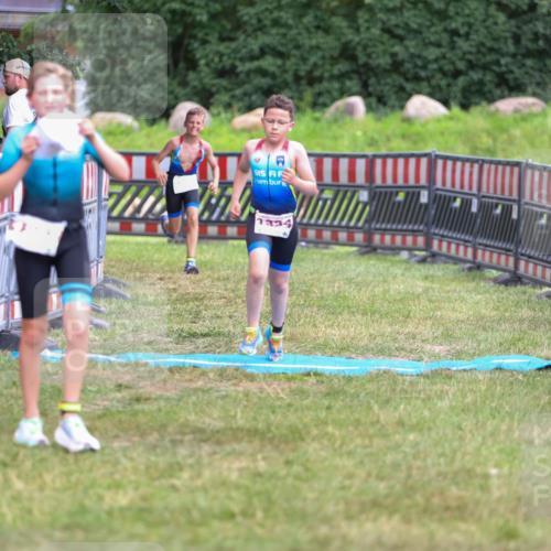 21.06.2026 - 29. Vierlanden-Triathlon Andreas Tolksdorf http://msf.ph/oto/9917371 21.06.2026 15:10:22 Ziel 1287, 1334 meine-sportfotos.de