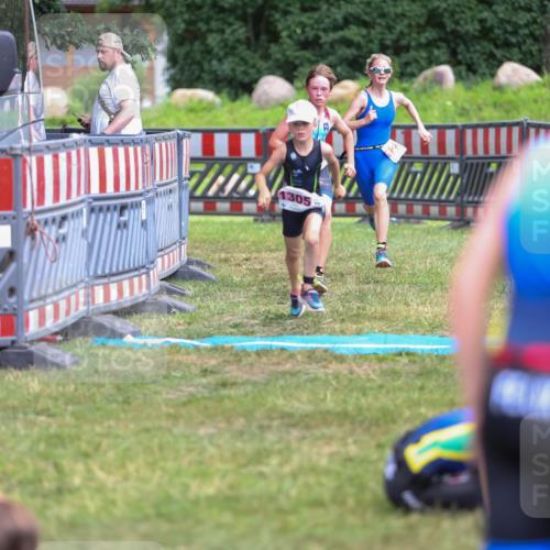 21.06.2026 - 29. Vierlanden-Triathlon Andreas Tolksdorf http://msf.ph/oto/9917400 21.06.2026 15:10:49 Ziel 1233, 1267, 1273, 1304, 1305, 1311, 1321 meine-sportfotos.de