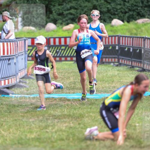 21.06.2026 - 29. Vierlanden-Triathlon Andreas Tolksdorf http://msf.ph/oto/9917409 21.06.2026 15:10:51 Ziel 1233, 1273, 1305, 1311, 1321 meine-sportfotos.de