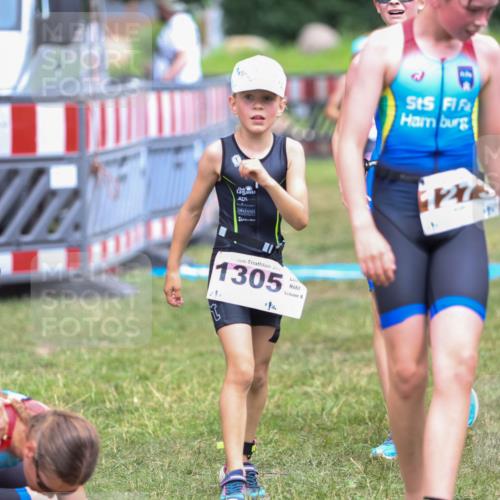 21.06.2026 - 29. Vierlanden-Triathlon Andreas Tolksdorf http://msf.ph/oto/9917425 21.06.2026 15:10:54 Ziel 1233, 1273, 1305, 1311, 1321 meine-sportfotos.de