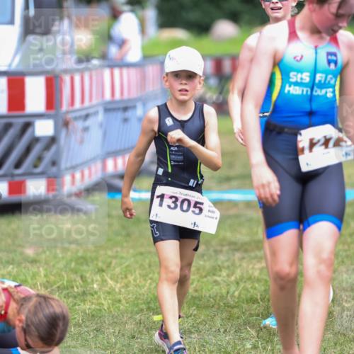 21.06.2026 - 29. Vierlanden-Triathlon Andreas Tolksdorf http://msf.ph/oto/9917426 21.06.2026 15:10:54 Ziel 1233, 1273, 1305, 1311, 1321 meine-sportfotos.de