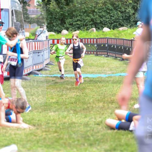 21.06.2026 - 29. Vierlanden-Triathlon Andreas Tolksdorf http://msf.ph/oto/9917489 21.06.2026 15:11:32 Ziel 1317, 1332 meine-sportfotos.de