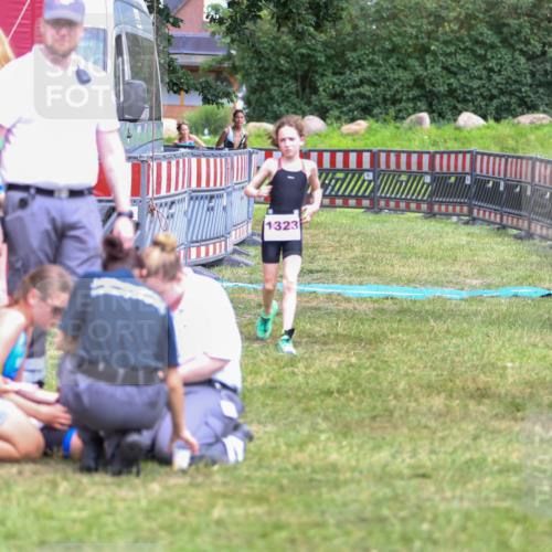 21.06.2026 - 29. Vierlanden-Triathlon Andreas Tolksdorf http://msf.ph/oto/9917544 21.06.2026 15:13:20 Ziel 1229, 1253, 1264 meine-sportfotos.de