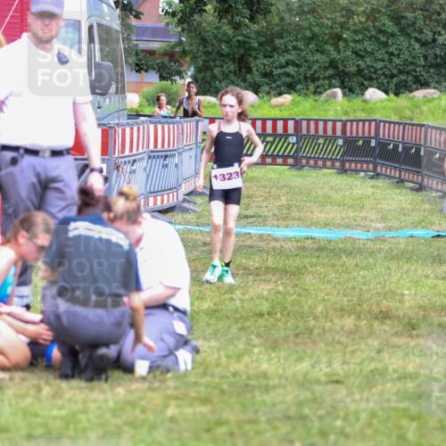 21.06.2026 - 29. Vierlanden-Triathlon Andreas Tolksdorf http://msf.ph/oto/9917548 21.06.2026 15:13:20 Ziel 1229, 1253, 1264 meine-sportfotos.de