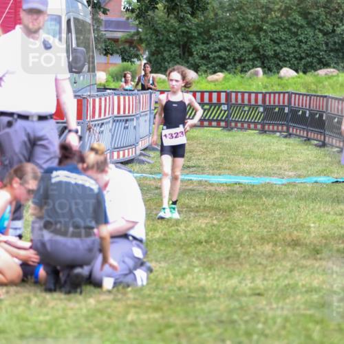 21.06.2026 - 29. Vierlanden-Triathlon Andreas Tolksdorf http://msf.ph/oto/9917549 21.06.2026 15:13:20 Ziel 1229, 1253, 1264 meine-sportfotos.de