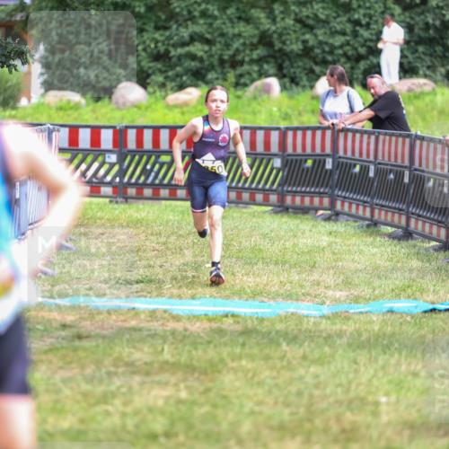 21.06.2026 - 29. Vierlanden-Triathlon Andreas Tolksdorf http://msf.ph/oto/9917655 21.06.2026 15:14:08 Ziel  meine-sportfotos.de