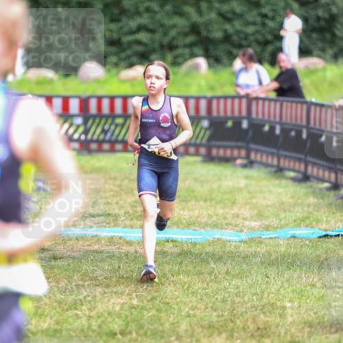 21.06.2026 - 29. Vierlanden-Triathlon Andreas Tolksdorf http://msf.ph/oto/9917672 21.06.2026 15:14:10 Ziel 1295 meine-sportfotos.de