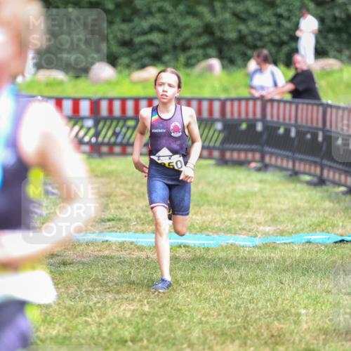 21.06.2026 - 29. Vierlanden-Triathlon Andreas Tolksdorf http://msf.ph/oto/9917673 21.06.2026 15:14:10 Ziel 1295 meine-sportfotos.de