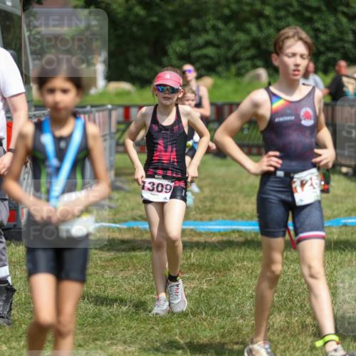 21.06.2026 - 29. Vierlanden-Triathlon Andreas Tolksdorf http://msf.ph/oto/9917769 21.06.2026 15:15:26 Ziel 1236, 1269, 1294, 1309 meine-sportfotos.de